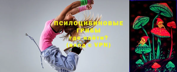стаф Михайлов