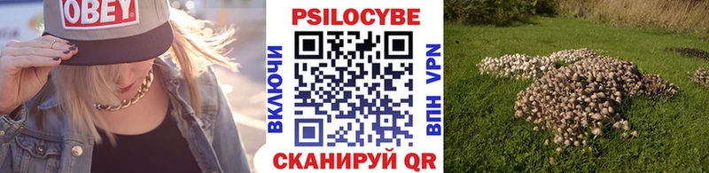 Псилоцибиновые грибы ЛСД  закладка  мориарти официальный сайт  Адыгейск 